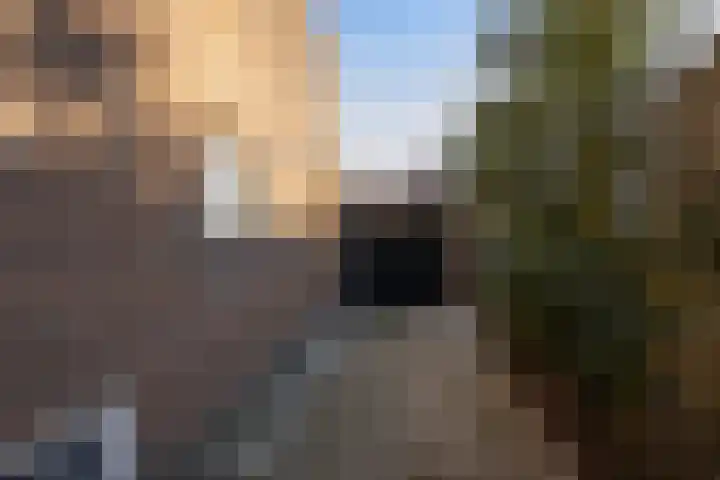van Heutszpark 49 Vlaardingen thumbnail 45