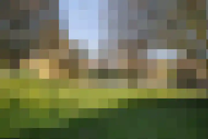 van Heutszpark 49 Vlaardingen thumbnail 46