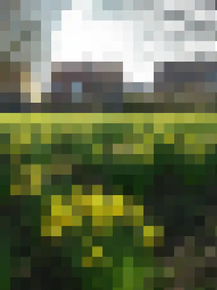 van Heutszpark 49 Vlaardingen thumbnail 47