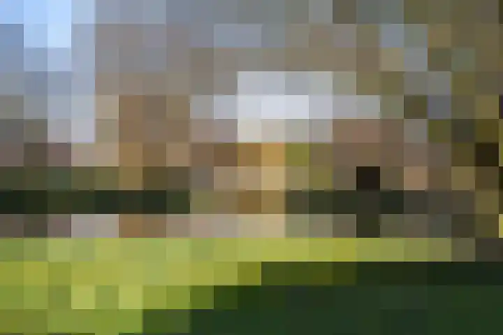 van Heutszpark 49 Vlaardingen thumbnail 6