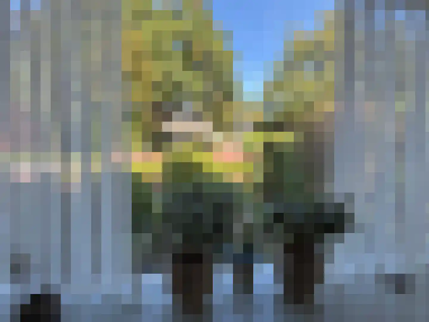 van Heutszsingel 96 Coevorden thumbnail 5