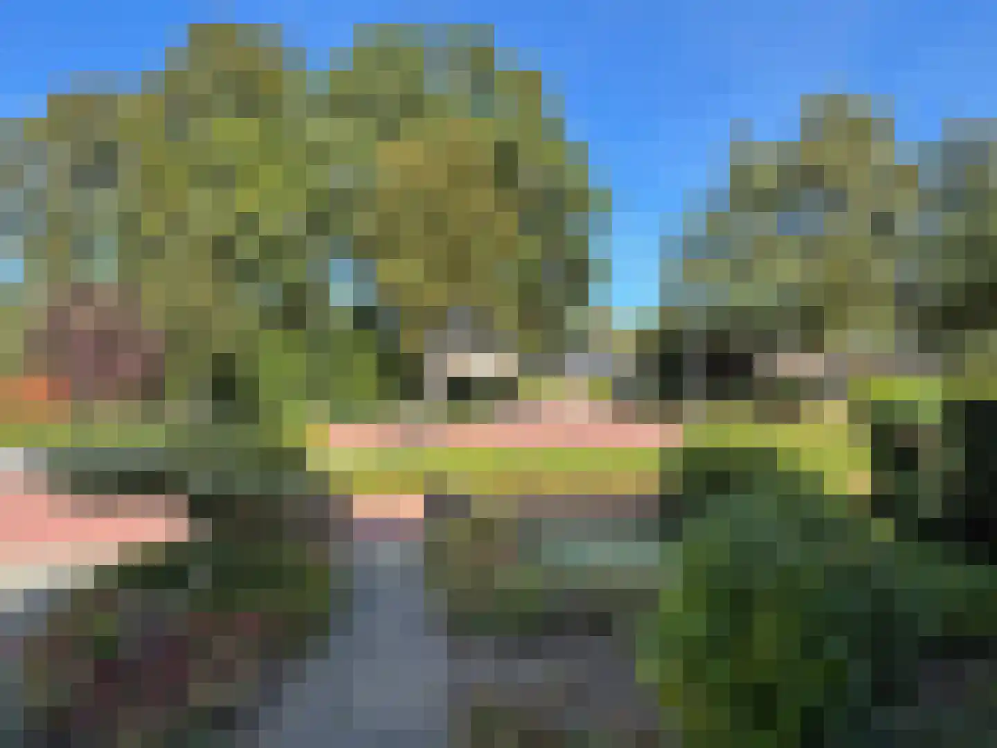 van Heutszsingel 96 Coevorden thumbnail 7