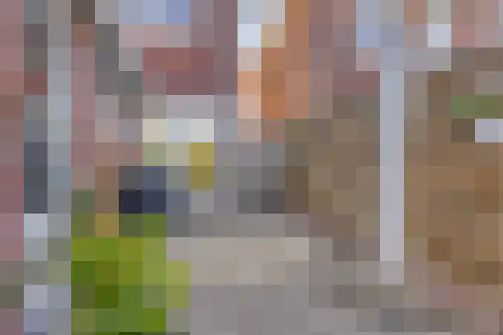 Van Heutzplein 4 Enschede thumbnail 29