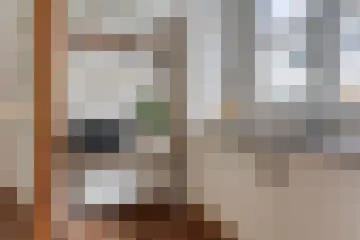 Van Hillepad 10 Leiden thumbnail 12