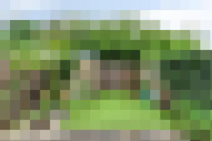 Van Hillepad 10 Leiden thumbnail 14