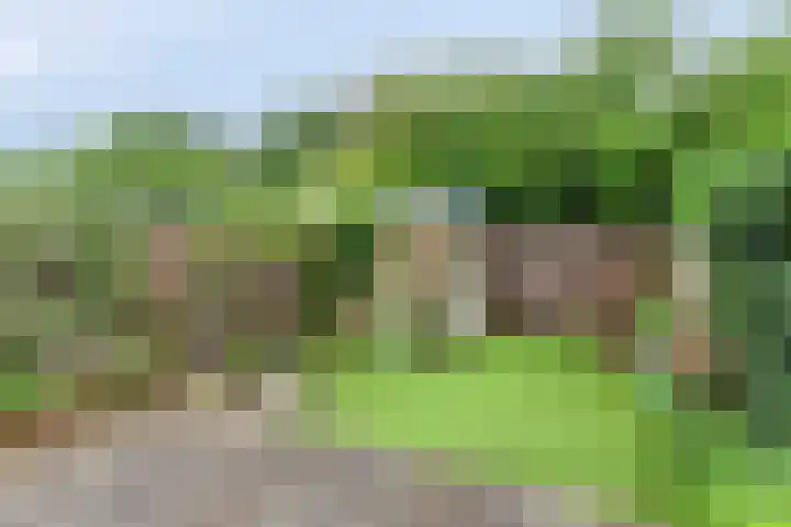 Van Hillepad 10 Leiden thumbnail 15