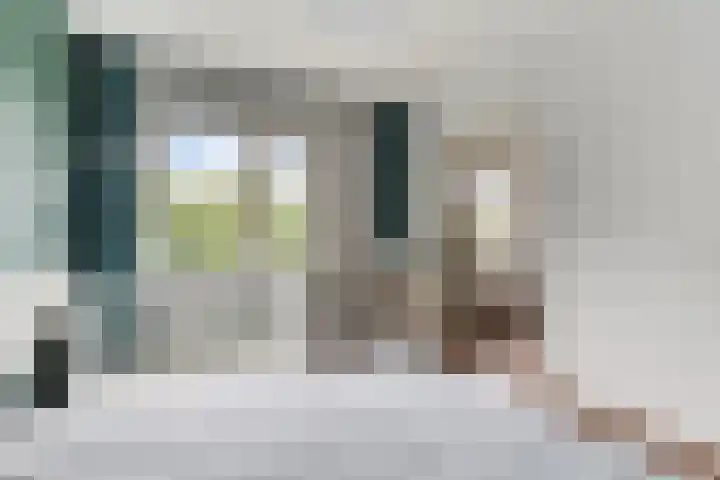 Van Hillepad 10 Leiden thumbnail 18