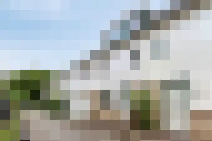 Van Hillepad 10 Leiden thumbnail 29