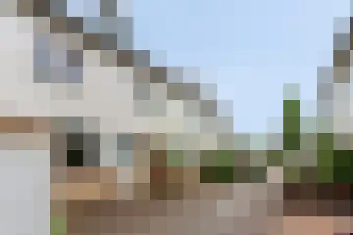 Van Hillepad 10 Leiden thumbnail 30
