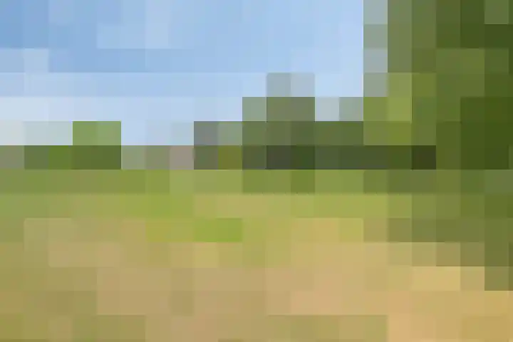 Van Hillepad 10 Leiden thumbnail 31
