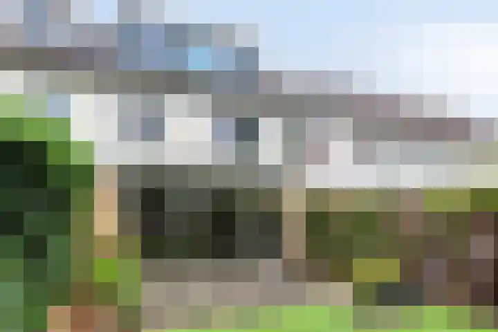 Van Hillepad 10 Leiden thumbnail 37