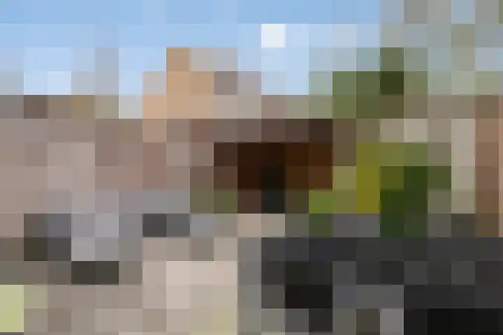 Van Hillepad 5 Leiden thumbnail 16