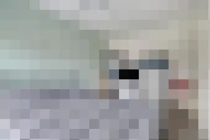 Van Hillepad 5 Leiden thumbnail 22
