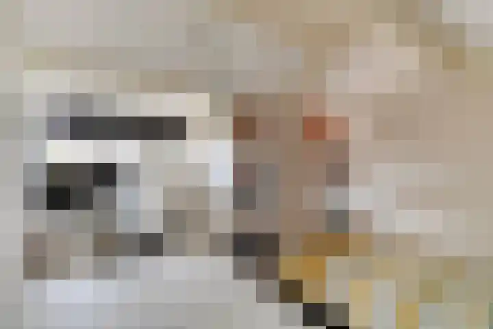 Van Hillepad 5 Leiden thumbnail 31