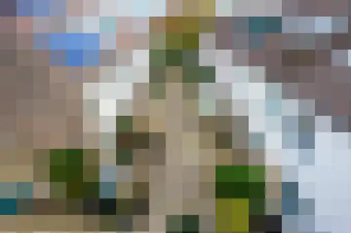 Van Hillepad 5 Leiden thumbnail 36