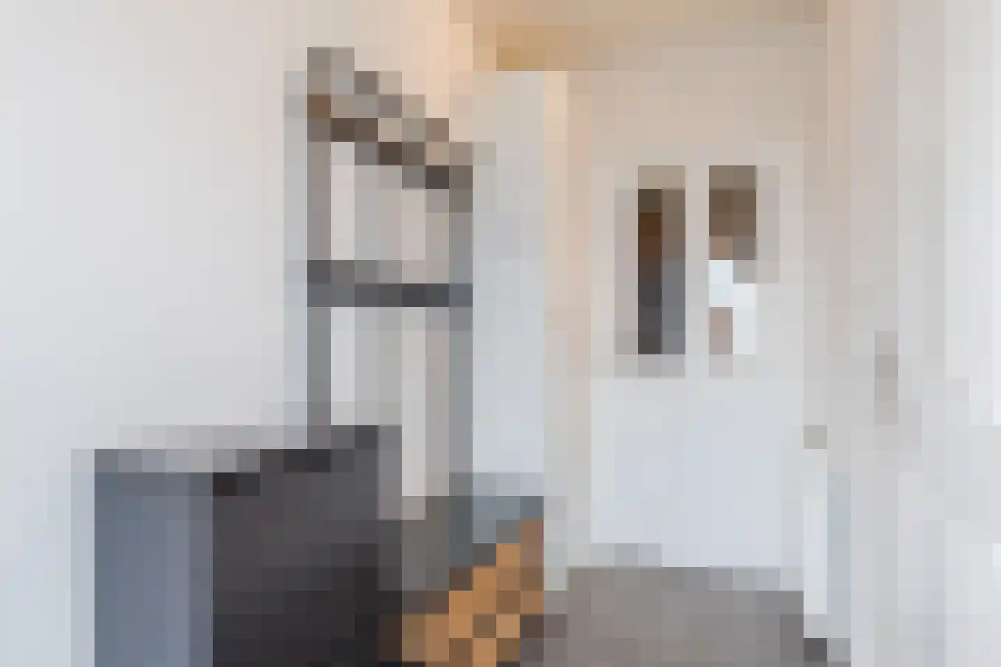 Van Hogendorpplein 25 Goirle thumbnail 10
