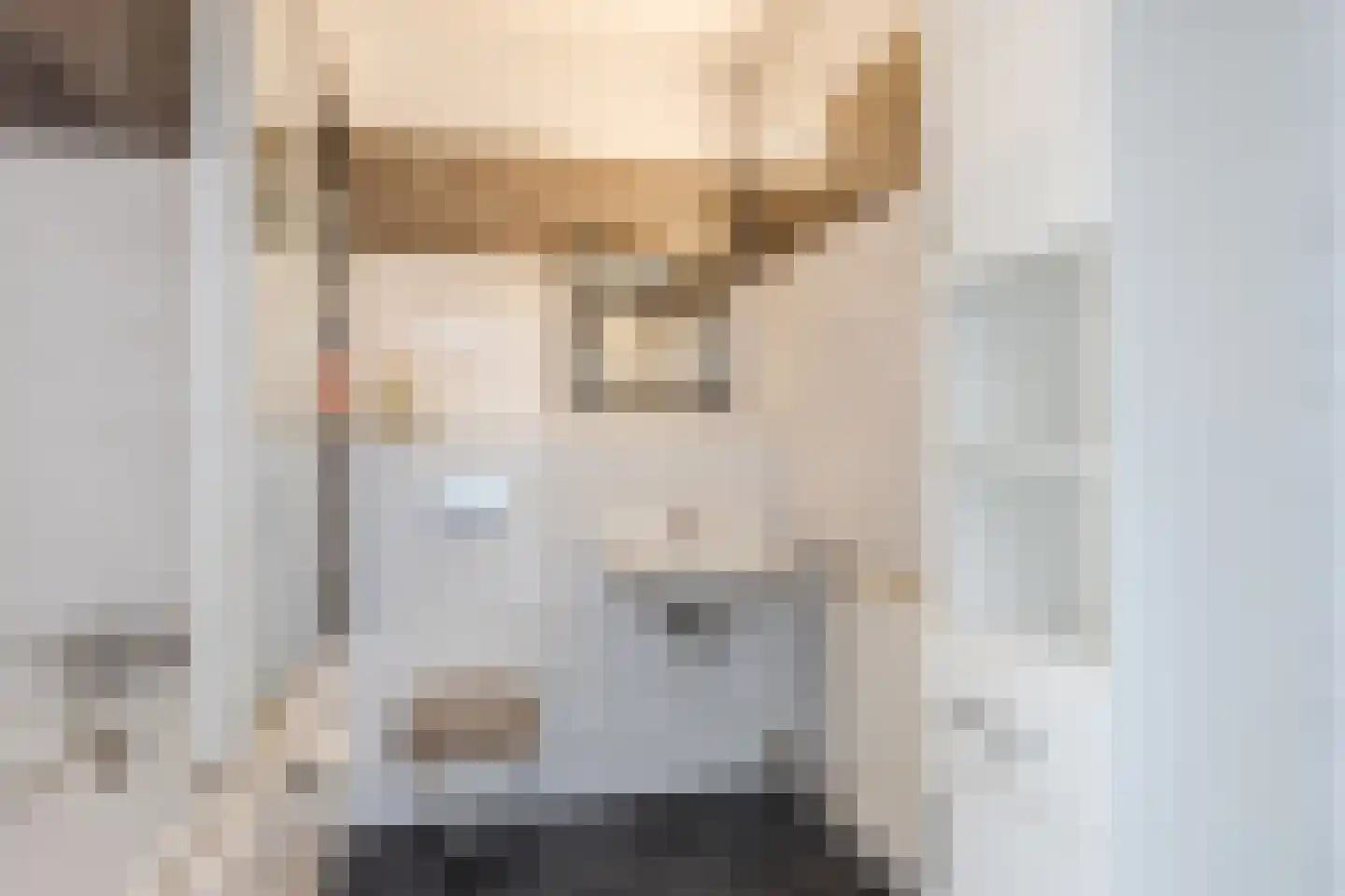 Van Hogendorpplein 25 Goirle thumbnail 18