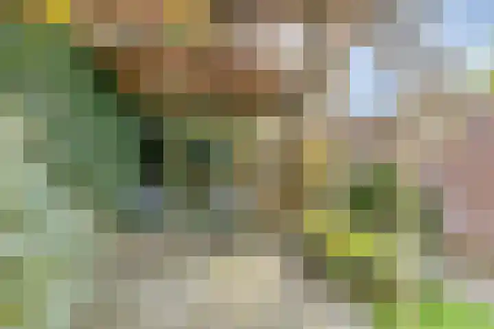 Van Hogendorpplein 59 Goirle thumbnail 22