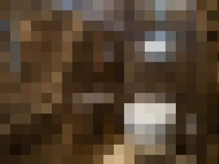 van Hogendorpstraat 1 Zutphen thumbnail 16