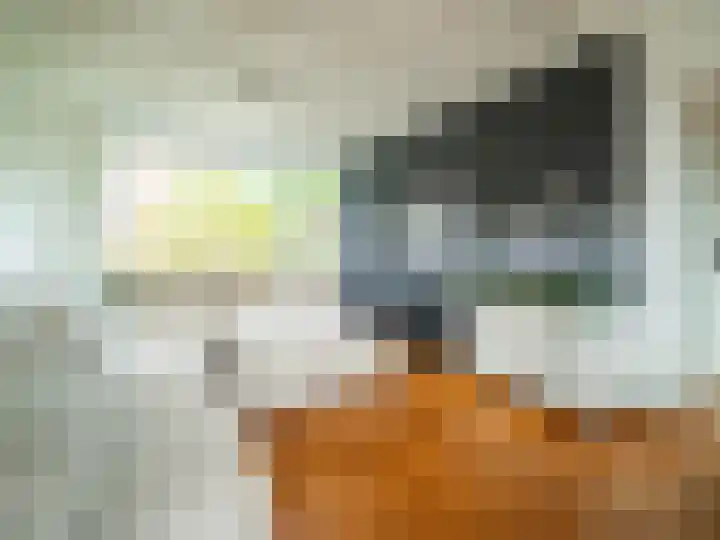 van Hogendorpstraat 1 Zutphen thumbnail 4