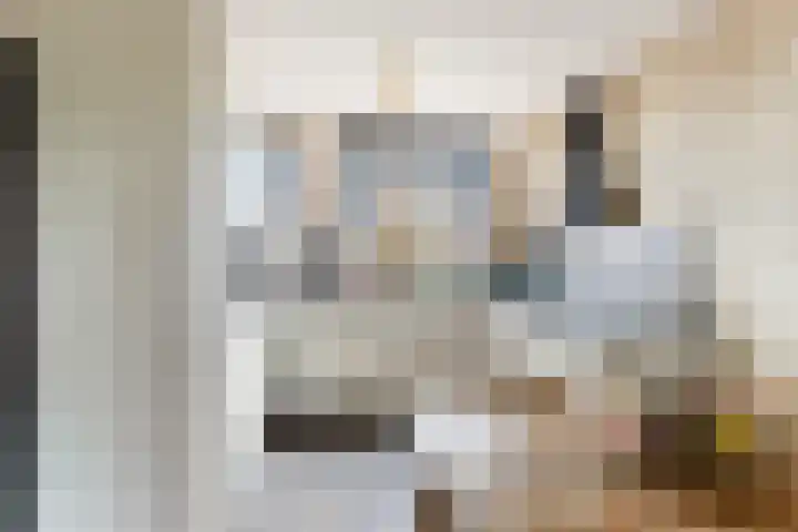 Van Hogendorpstraat 11 Almkerk thumbnail 10