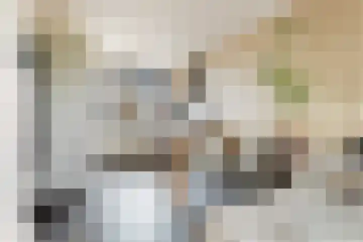 Van Hogendorpstraat 11 Almkerk thumbnail 13