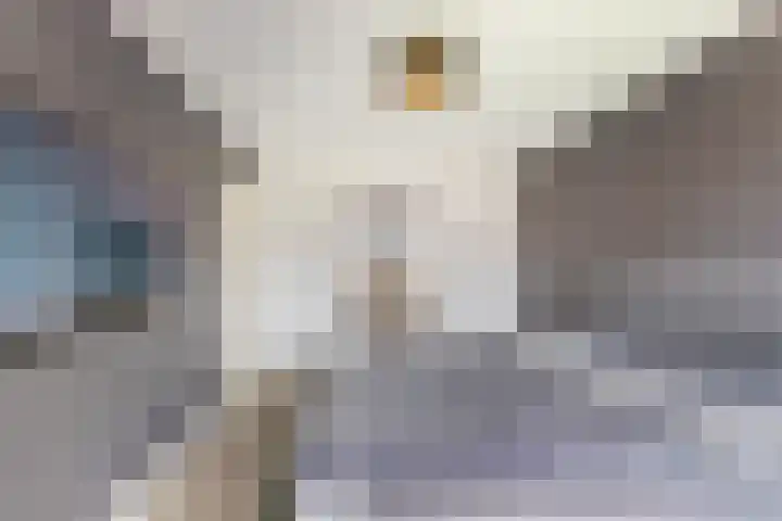 Van Hogendorpstraat 11 Almkerk thumbnail 16