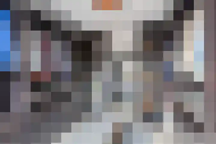 Van Hogendorpstraat 11 Almkerk thumbnail 18