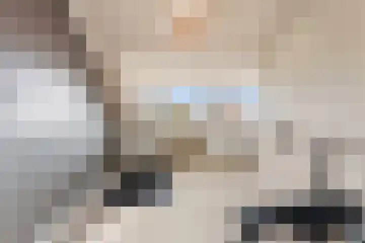 Van Hogendorpstraat 11 Almkerk thumbnail 28
