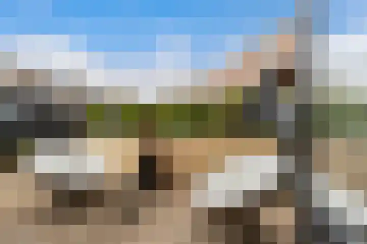 Van Hogendorpstraat 11 Almkerk thumbnail 30