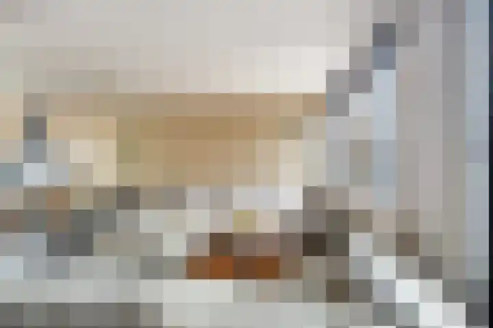 Van Hogendorpstraat 11 Almkerk thumbnail 7