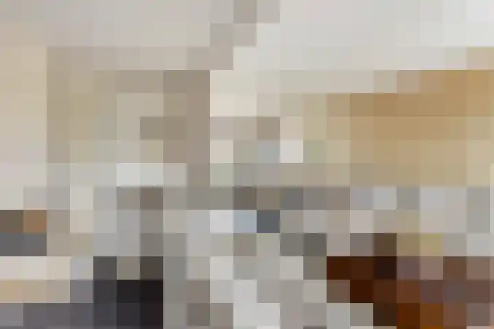 Van Hogendorpstraat 11 Almkerk thumbnail 8