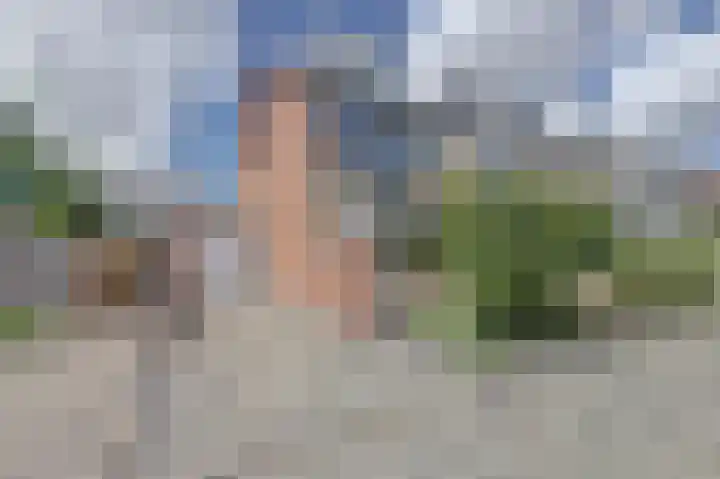 van Hogendorpstraat 11 Moerkapelle thumbnail 43