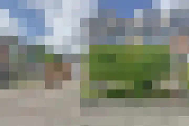van Hogendorpstraat 11 Moerkapelle thumbnail 7