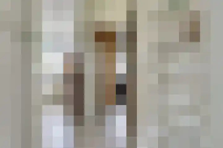 van Hogendorpstraat 11 Moerkapelle thumbnail 8