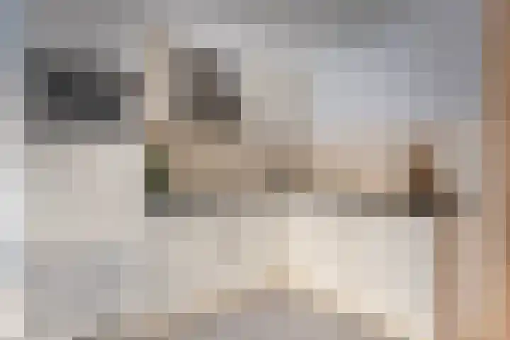 Van Hogendorpstraat 125 1 Amsterdam thumbnail 9