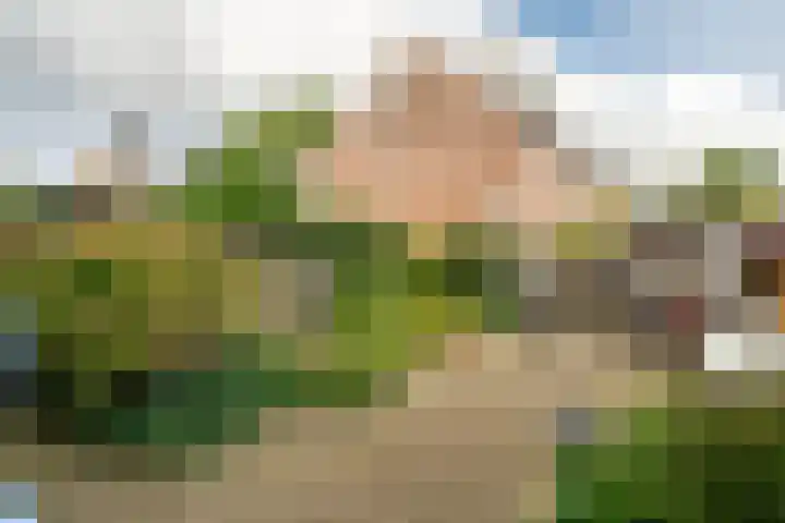 Van Hogendorpstraat 15 Almkerk thumbnail 28