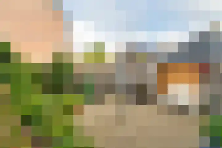Van Hogendorpstraat 15 Almkerk thumbnail 29
