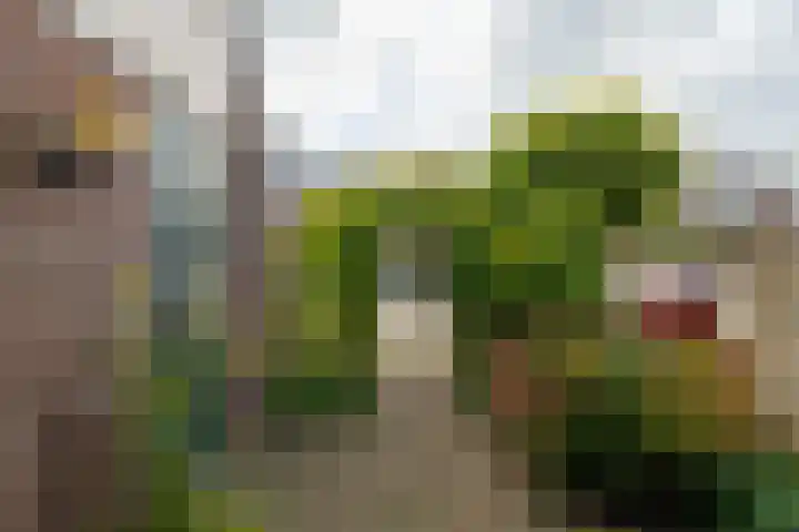 Van Hogendorpstraat 15 Almkerk thumbnail 4