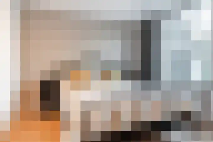 Van Hogendorpstraat 39 Haarlem thumbnail 5