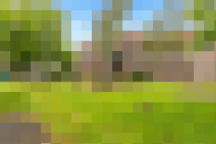 van Hogendorpstraat 4 Krommenie thumbnail 28