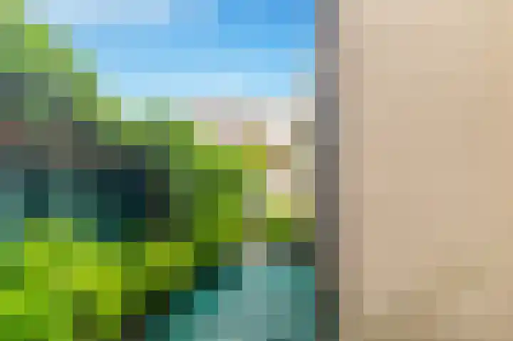 van Hogendorpstraat 4 Krommenie thumbnail 29