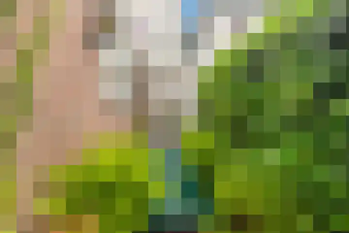 van Hogendorpstraat 4 Krommenie thumbnail 31
