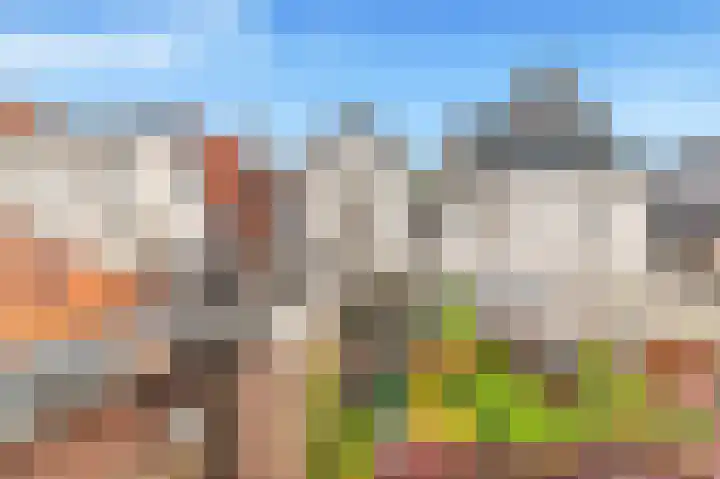 van Hogendorpstraat 4 Krommenie thumbnail 32