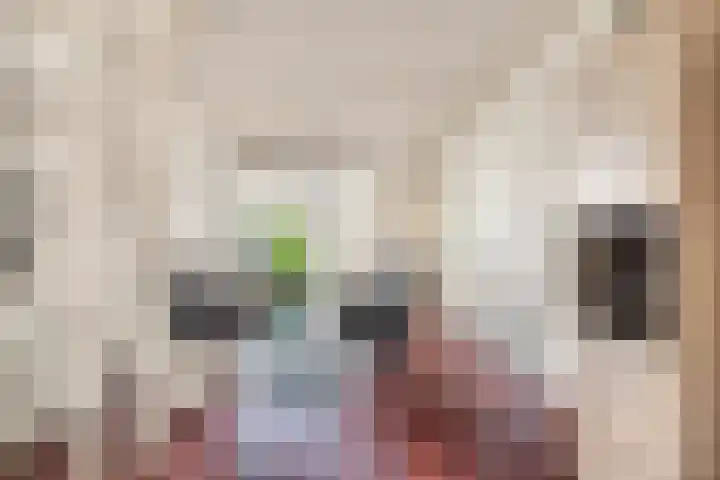 van Hogendorpstraat 4 Krommenie thumbnail 5