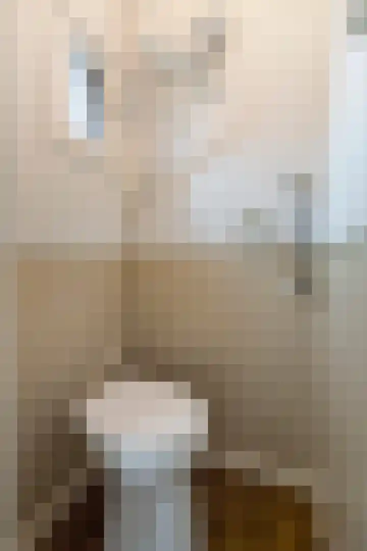 van Houtstraat 18 Duiven thumbnail 13