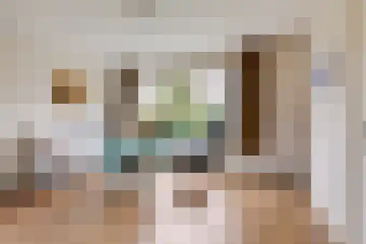 van Houtstraat 18 Duiven thumbnail 16