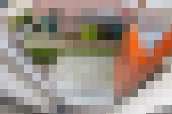 van Houtstraat 18 Duiven thumbnail 30
