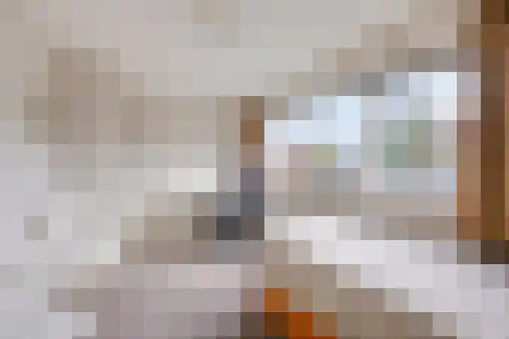 van Houtstraat 18 Duiven thumbnail 35