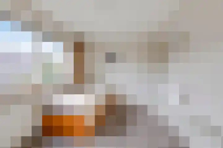 van Houtstraat 18 Duiven thumbnail 36
